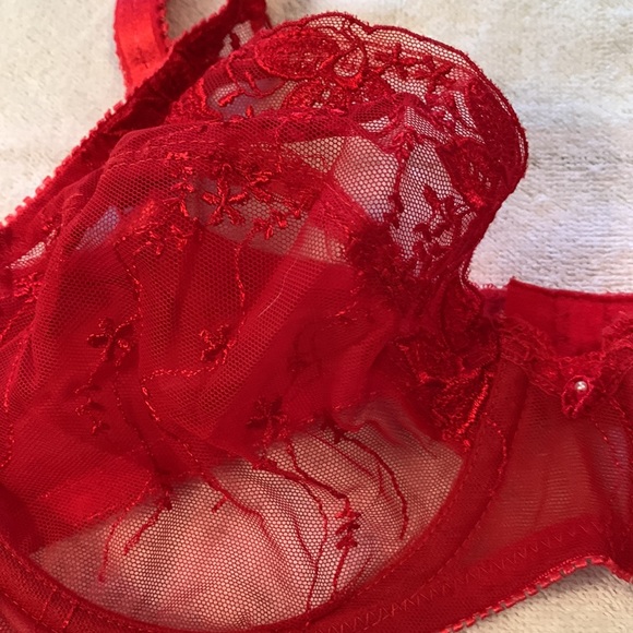 Sheer Red Underwire Bra from Felina Lingerie - Picture 2 of 6